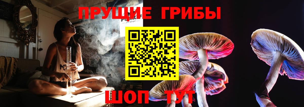 наркотики  Вход с VPN  Новоуральск  Псилоцибиновые грибы ЛСД 